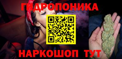 шишки Лесосибирск